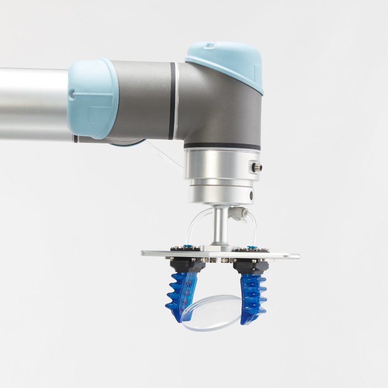 Clamped Soft Robot Gripper Good Grasping Adaptivity