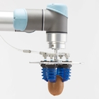 2100g Flexible Robot Gripper Handling Irregular Items